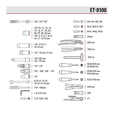 Набір інструментів Storm Intertool ET-8100 (100 предметів)